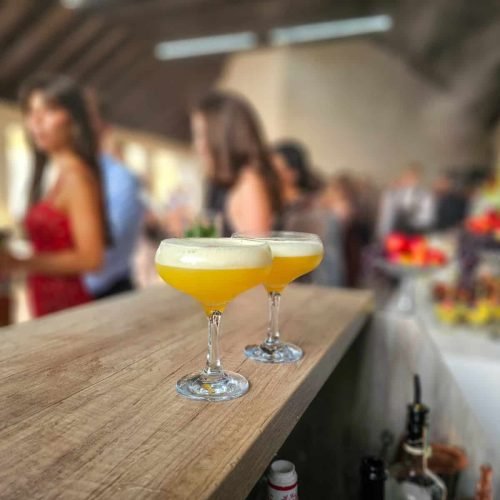 Imperial Palace din Cojușna: experiența noastră de la o nuntă 7 Cocktailuri pregătite pentru invitați la Imperial Palace