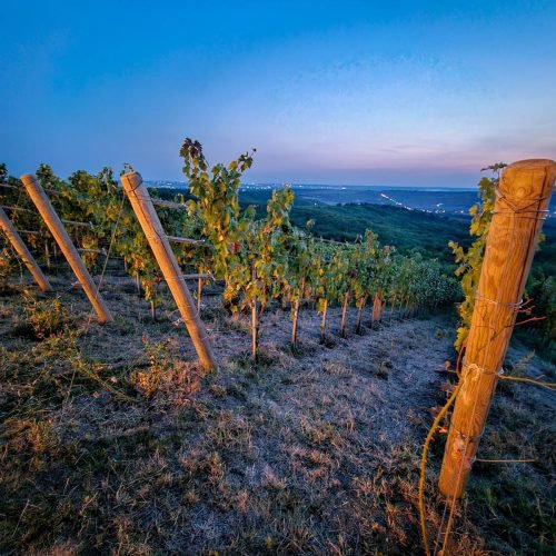 Epicrama – cum este o nuntă în aer liber 3 epicrama-vii-panorama