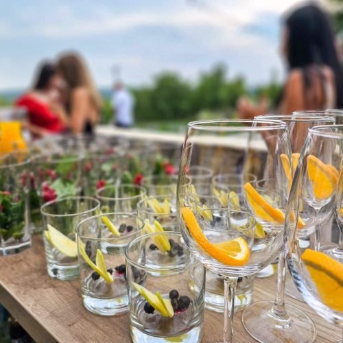 Natura Parc Condrița: cum este un eveniment în mijlocul naturii 3 Întâmpinarea invitaților la un eveniment organizat la Natura Parc Condrița
